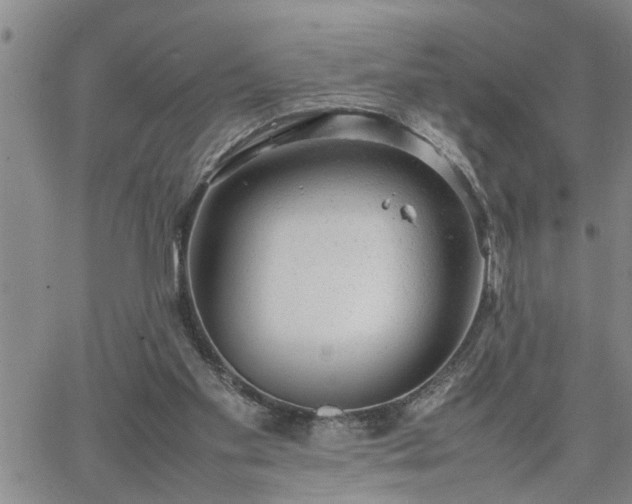 X0000064730109200602171652