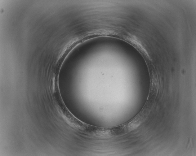 X0000064730110200602171652