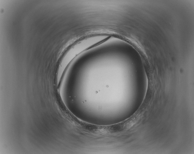 X0000064730111200602171652