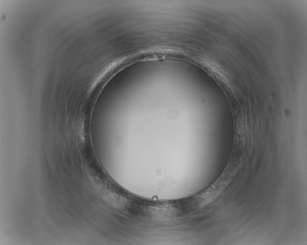 X0000064730112200602171651