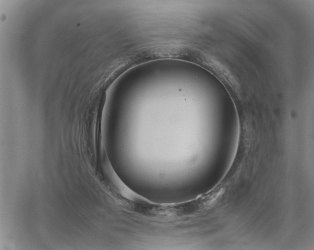 X0000064730113200602171651