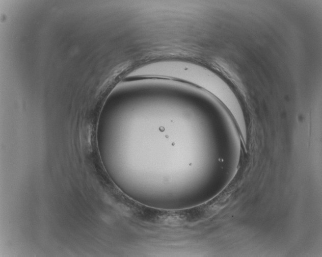 X0000064730115200602171651