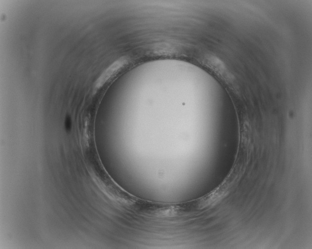 X0000064730116200602171651