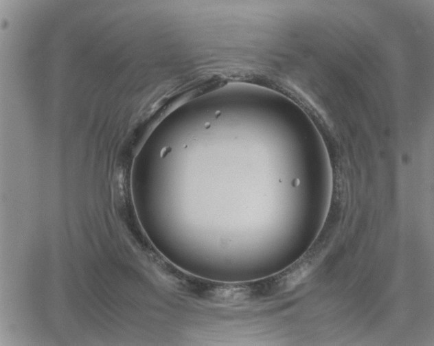 X0000064730117200602171651