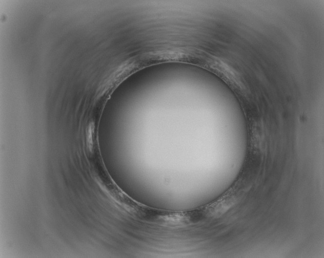 X0000064730118200602171651