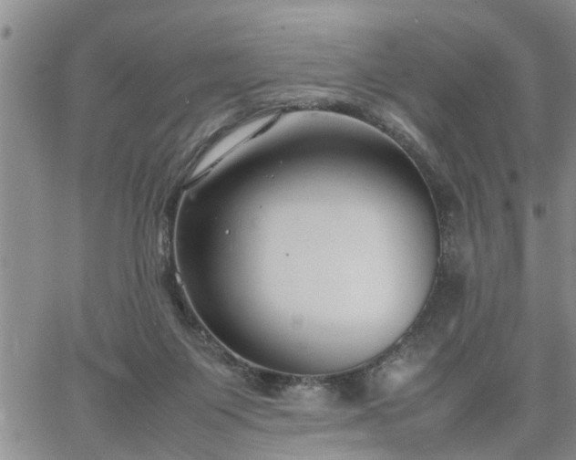 X0000064730119200602171651