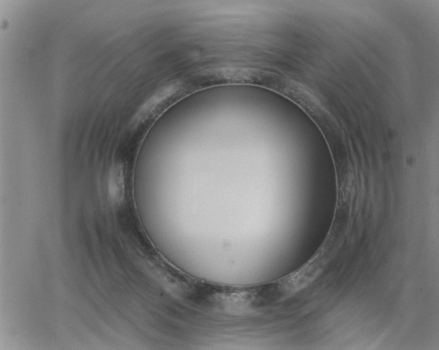 X0000064730120200602171651