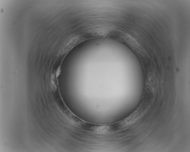 X0000064730122200602171651