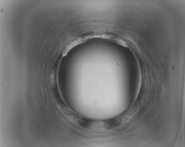 X0000064730123200602171651