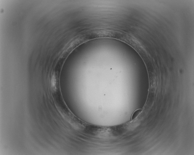 X0000064730124200602171651