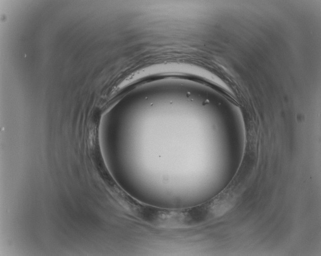 X0000064730125200602171651