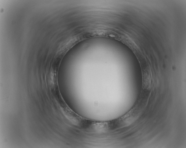 X0000064730126200602171651