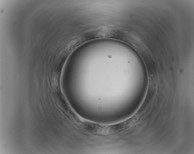 X0000064730127200602171651