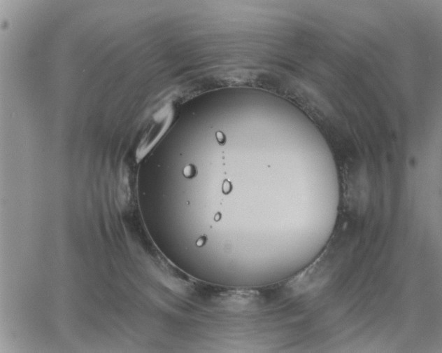 X0000064730128200602171651