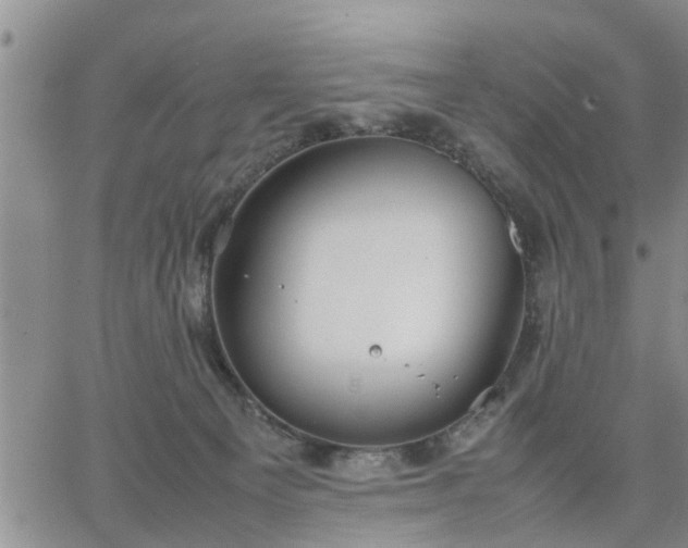 X0000064730129200602171651