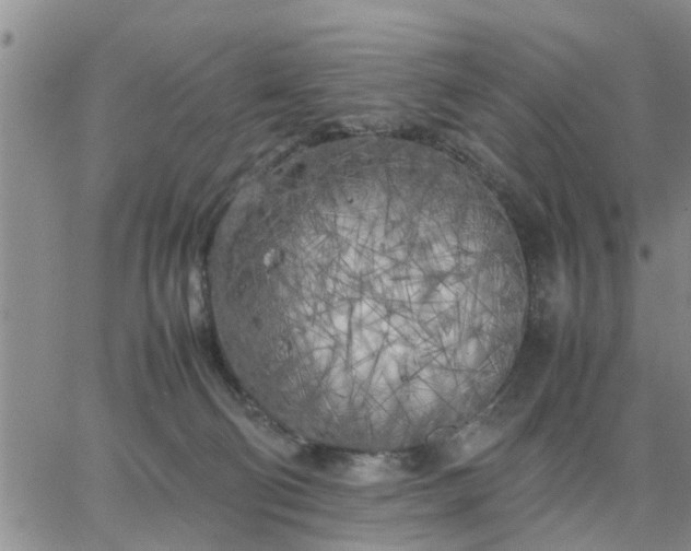 X0000064730130200602171651