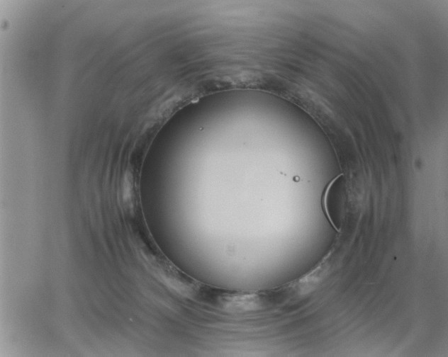 X0000064730132200602171651