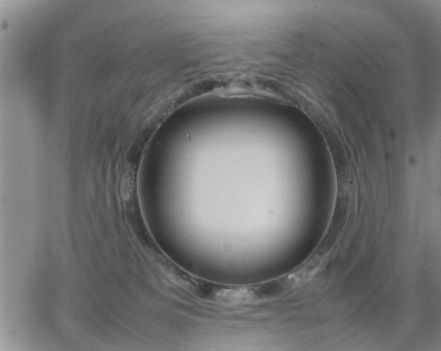 X0000064730133200602171651