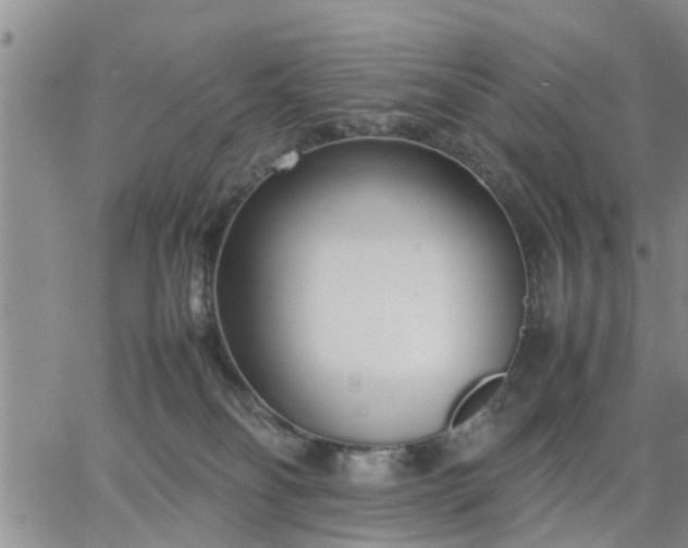 X0000064730134200602171651