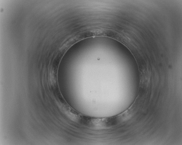 X0000064730136200602171651