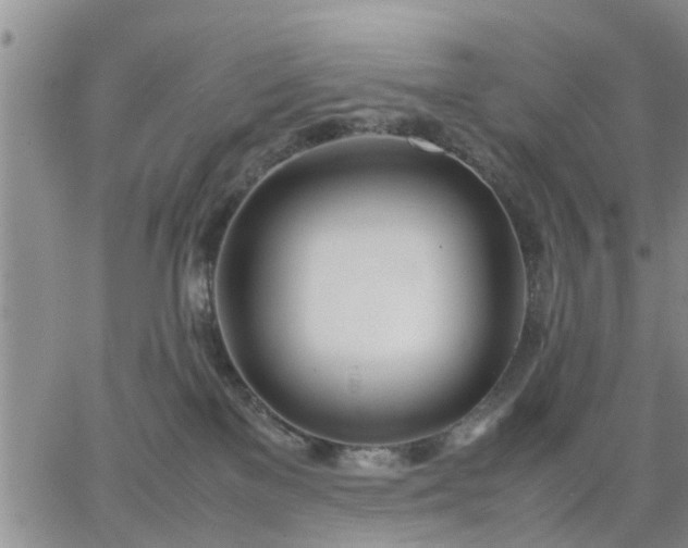 X0000064730137200602171651