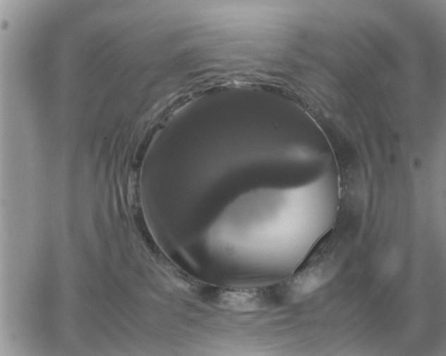 X0000064730139200602171651