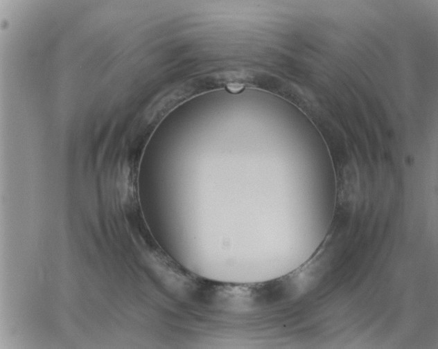 X0000064730140200602171651