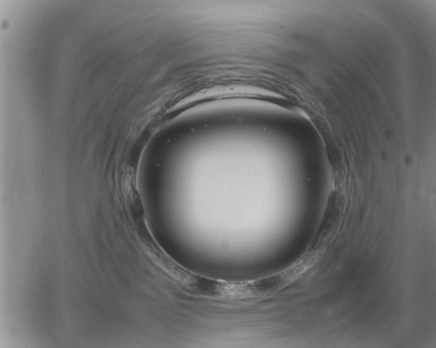 X0000064730141200602171651