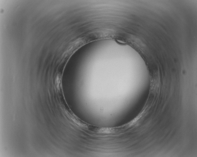 X0000064730142200602171651