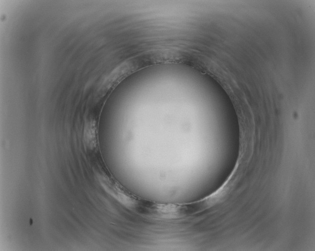 X0000064730144200602171651