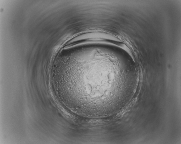 X0000064730145200602171650