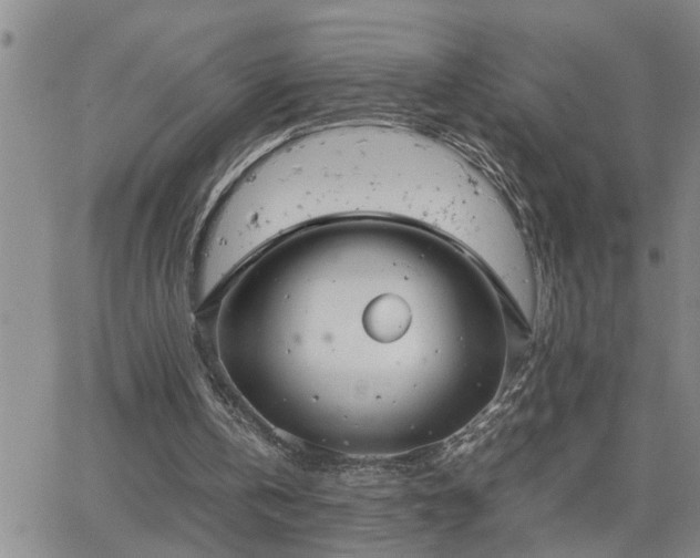 X0000064730146200602171650