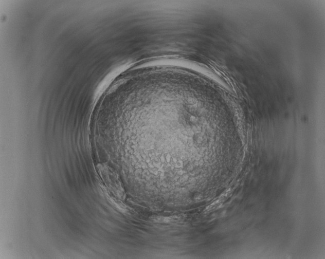 X0000064730147200602171650