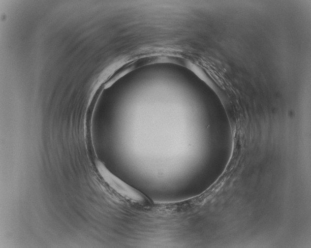 X0000064730148200602171650