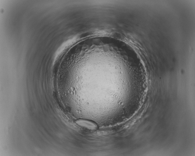 X0000064730149200602171650