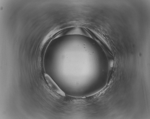 X0000064730150200602171650