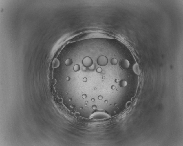 X0000064730151200602171650