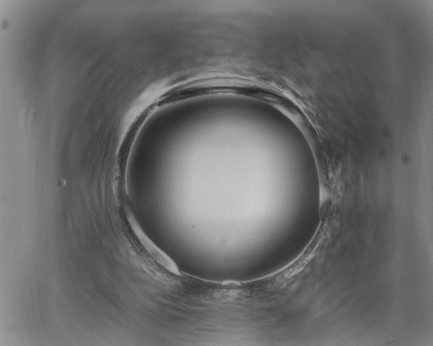 X0000064730152200602171650