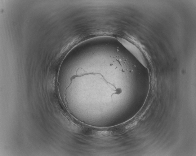 X0000064730153200602171650