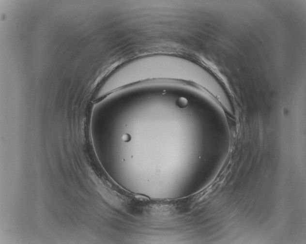 X0000064730154200602171650