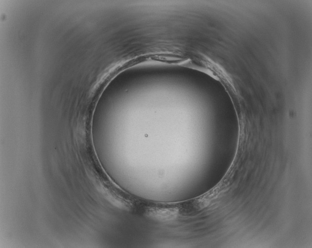 X0000064730155200602171650