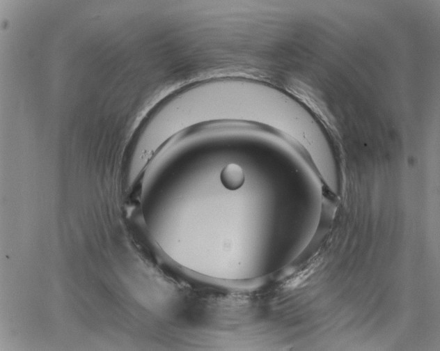 X0000064730156200602171650