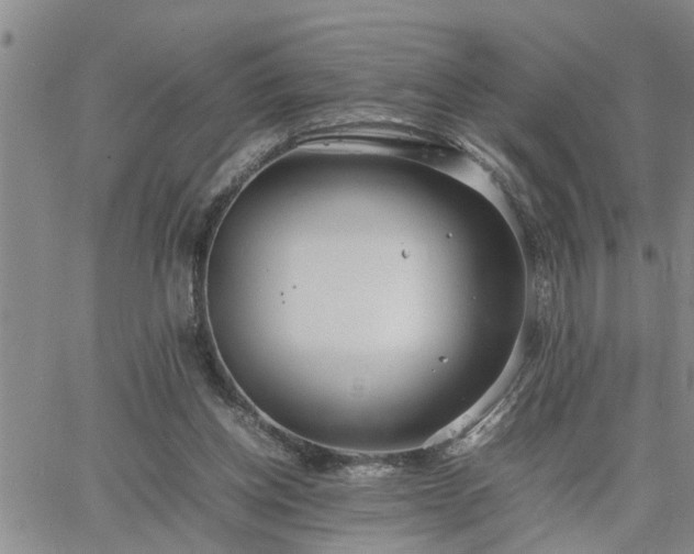 X0000064730158200602171650