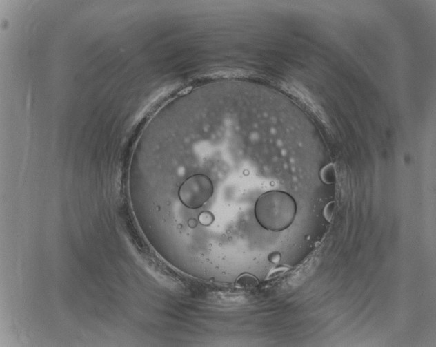 X0000064730159200602171650