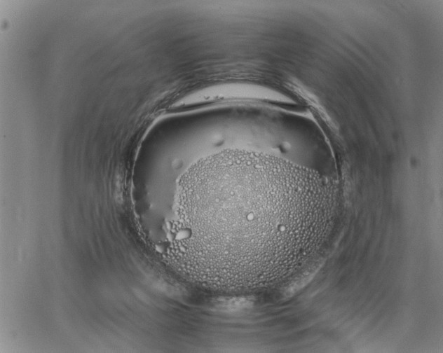 X0000064730161200602171650