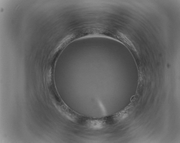 X0000064730163200602171650