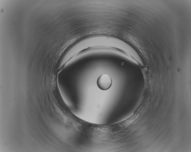 X0000064730164200602171650