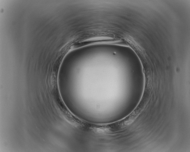 X0000064730165200602171650