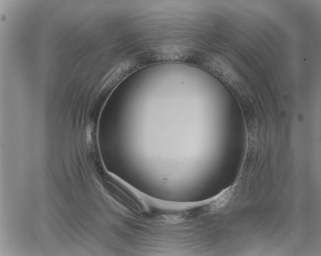 X0000064730166200602171651