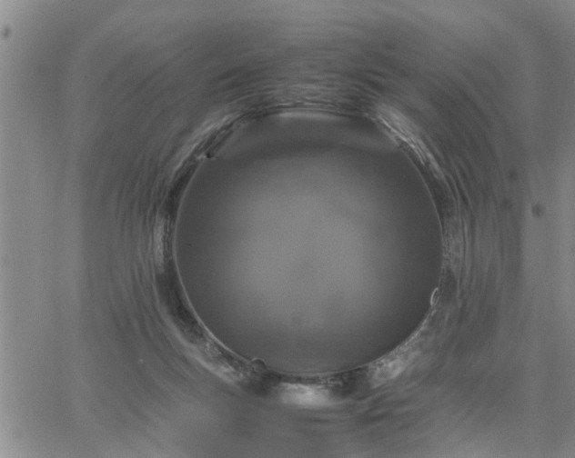 X0000064730167200602171651